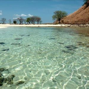 Pulau Kelor